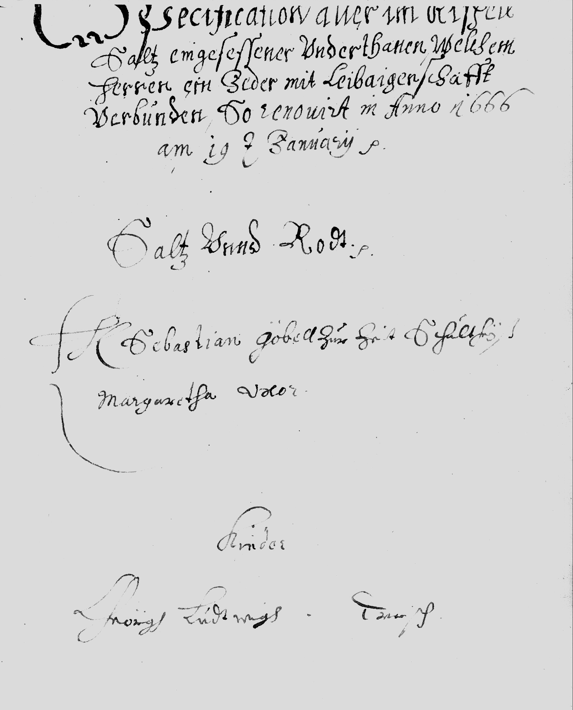 Salz-Roth