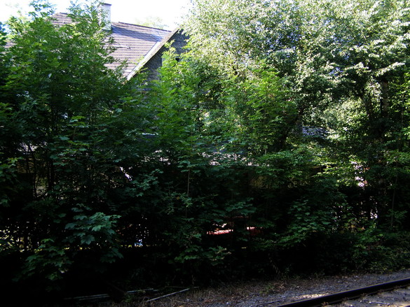 Niederahr