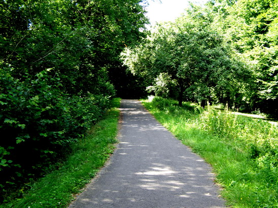 Weg