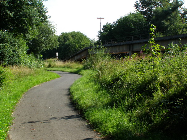 Wallmerod