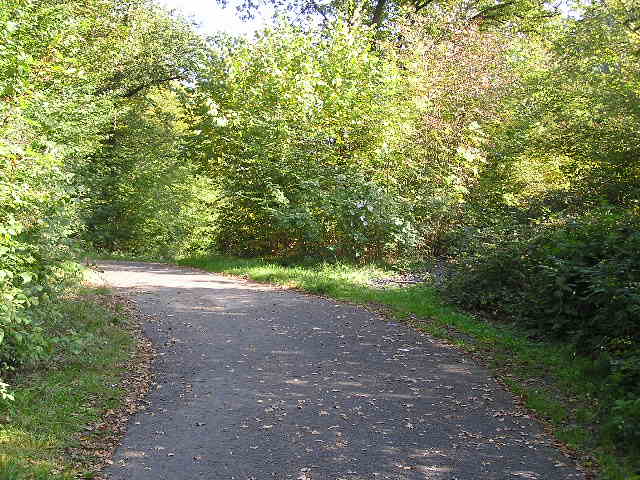 radweg

	radweg
radweg
