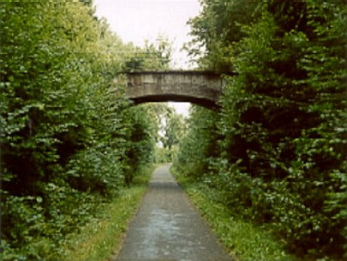 radweg

	radweg
radweg