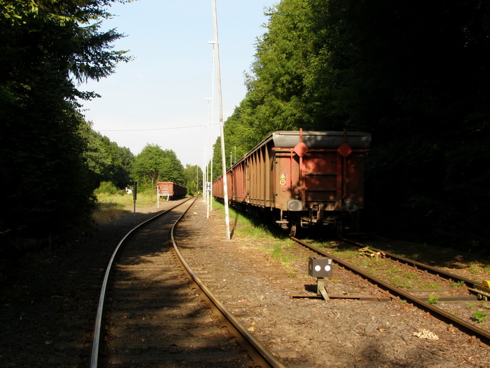 Niederahr