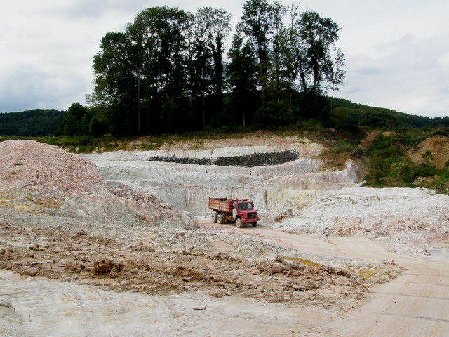 Tongrube Bilkheim