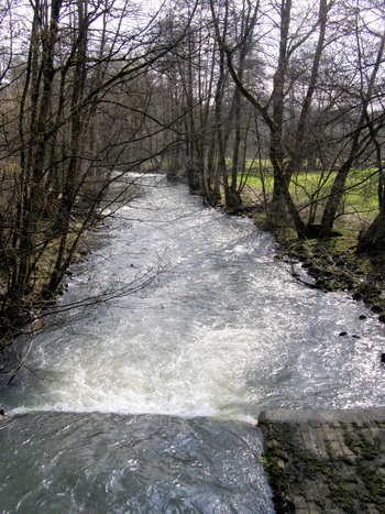 Elbbach