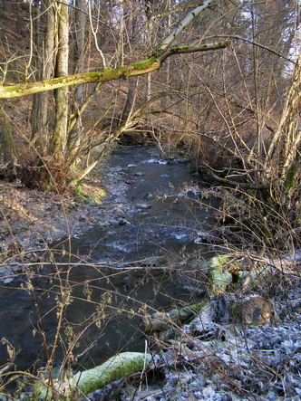 Salzbach