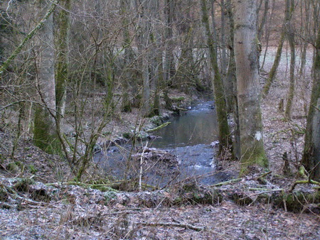 Salzbach