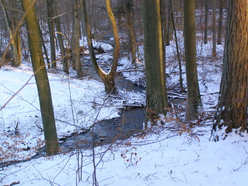 Salzbach
