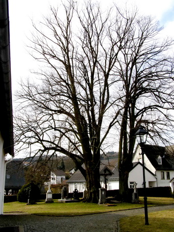 Grabsteine