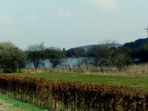 Ottisee