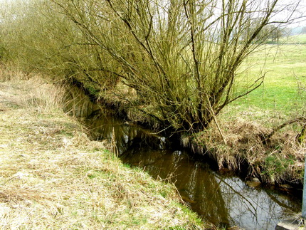 Saynbach