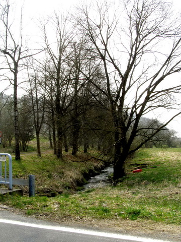 Saynbach
