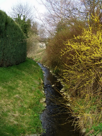 Ahrbach