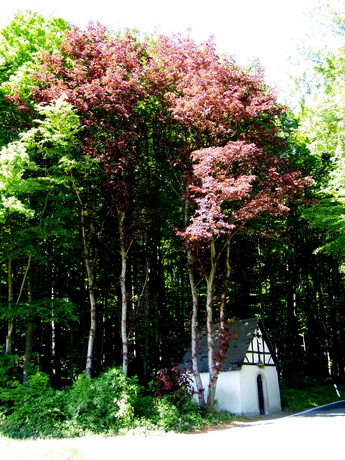 Heiligenhäuschen