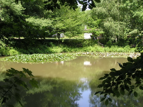 See