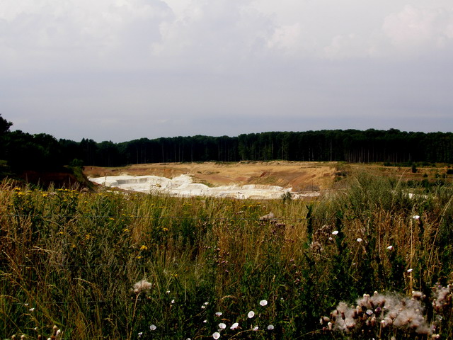 Tongrube