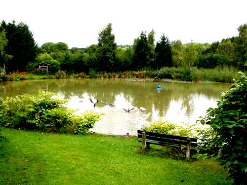 Teich