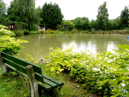 Teich