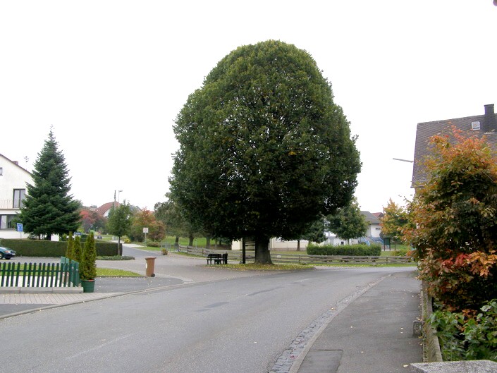 Dorflinde