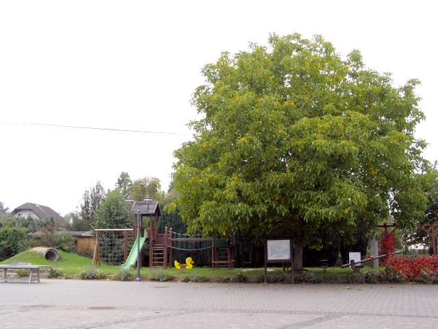Pütschbach