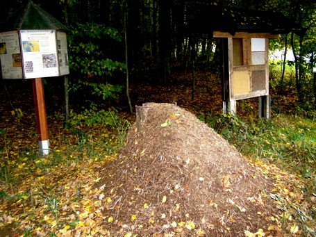 Naturlehrpfad