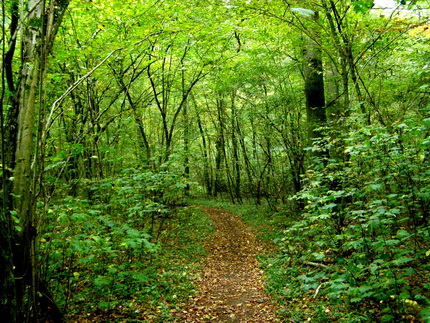 Naturlehrpfad