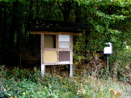 nördlich von Hundsangen in Richtung Naturlehrpfad