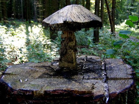 Pilz