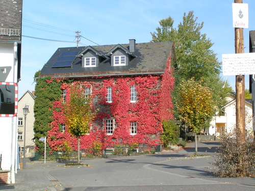 Schule