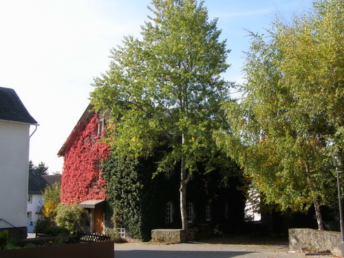Schule