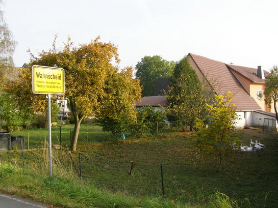 Ortseinang