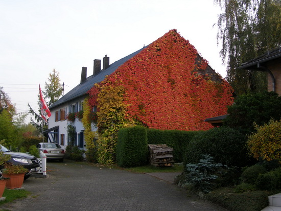 Lochheim