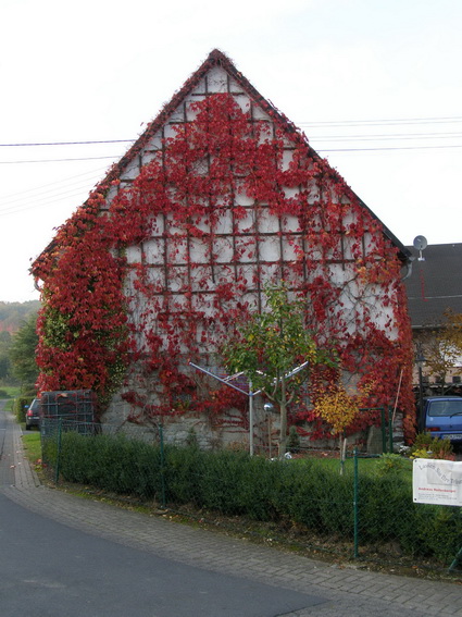 Fachwerkhaus