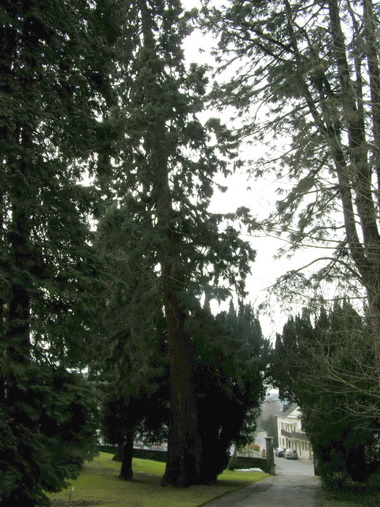 Schloßpark