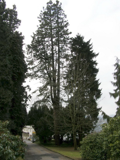 Schloßpark