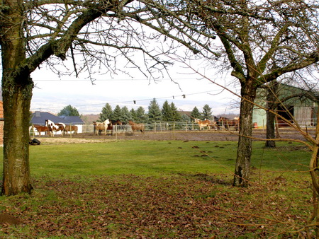 Baunernhof