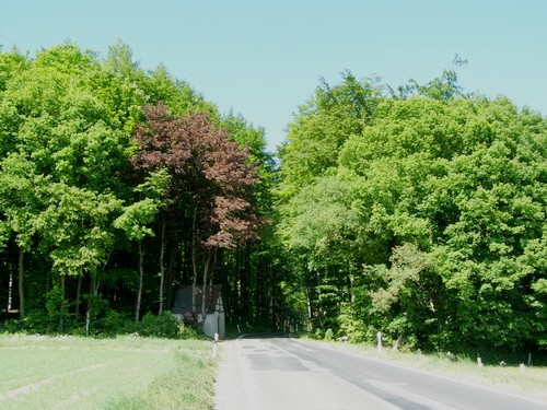 Neurother Straße