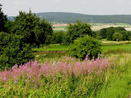 Landschaft