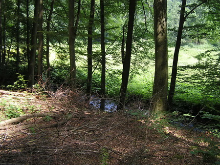 Salzbach