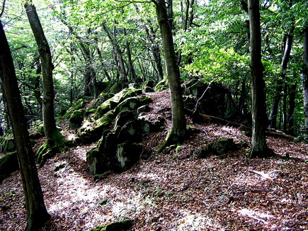 Hügel