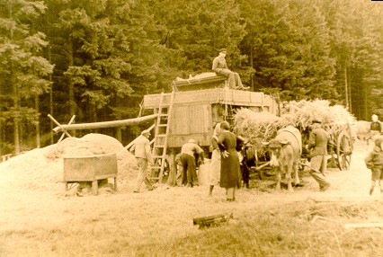 Dreschmaschine