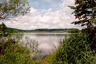 Wiesensee