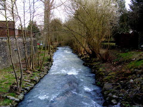 Elbbach