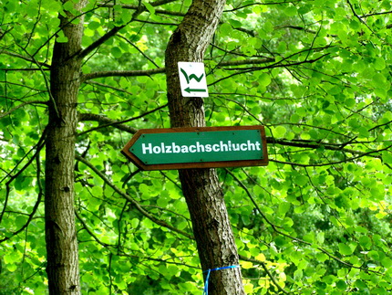 Holzbachschlucht
