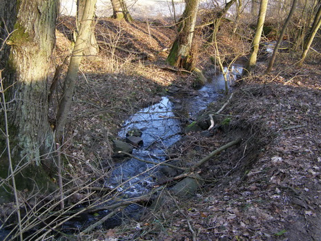 Schafbach