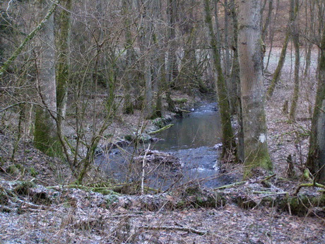 Salzbach