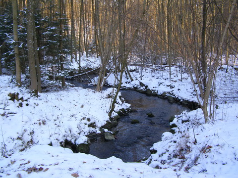 Schafbach