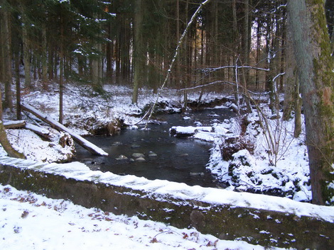 Salzbach