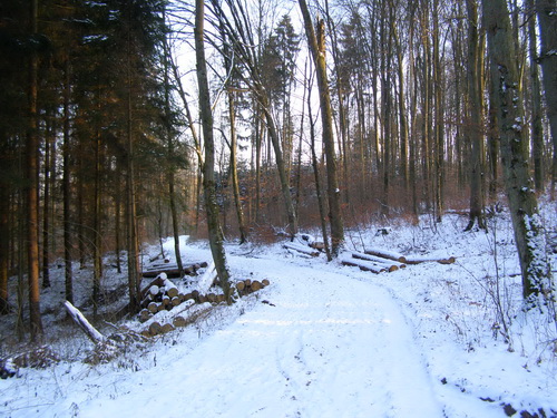 Weg